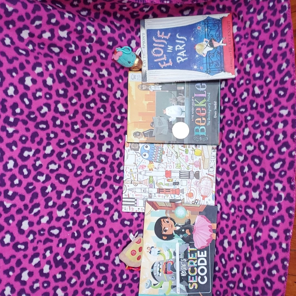 4 books    key chains included